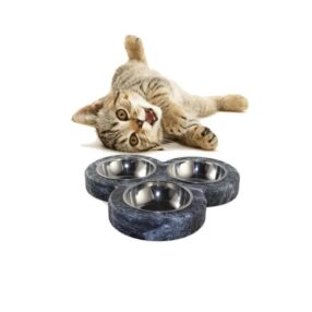 Triple Kedi ve Küçük ırk Mama Kabı