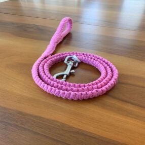 Pembe Kedi Köpek Tasması