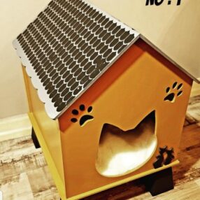 Kedi evi no 1
