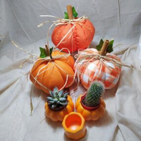 Turuncu Balkabağı Set