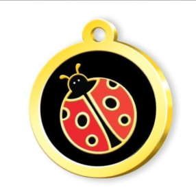 Ugur böceği lady bug kedi ve köpek isimlik