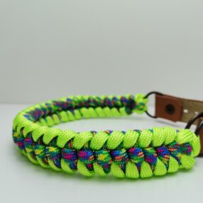 Harlequin Paracord Köpek tasması