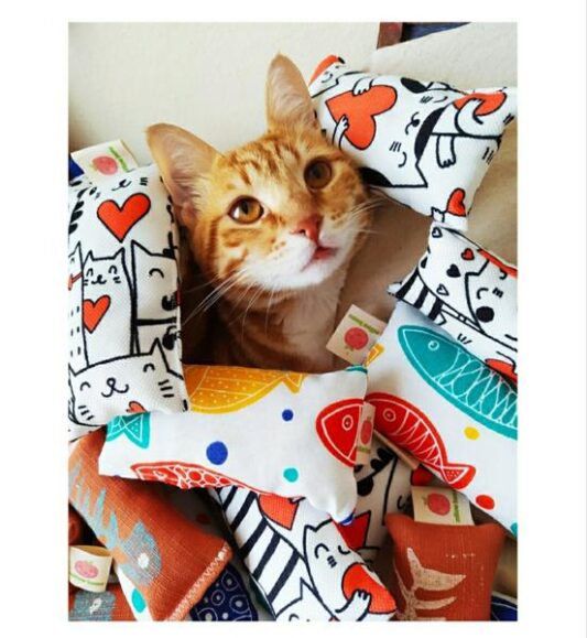 Kedi Naneli Oyuncak Seti Hediyeli