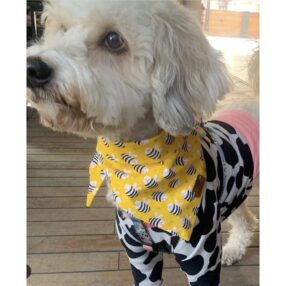 Tailor Bee Bandana