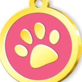 Kedi isim madalyonu  köpek isim madalyonu