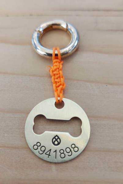 Köpek Sağlığı Sayılı Tasma Kolyesi-Hediyeli