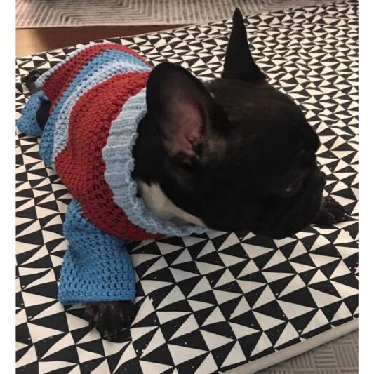 Köpek Kıyafeti - Kazak - 004